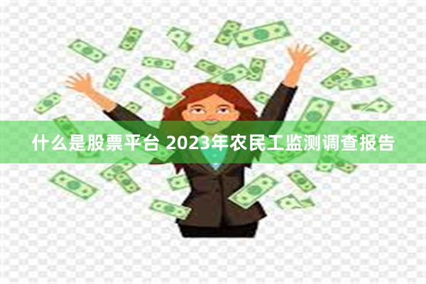 什么是股票平台 2023年农民工监测调查报告