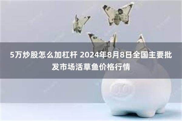 5万炒股怎么加杠杆 2024年8月8日全国主要批发市场活草鱼价格行情