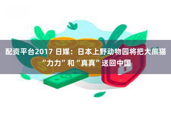 配资平台2017 日媒：日本上野动物园将把大熊猫“力力”和“真真”送回中国