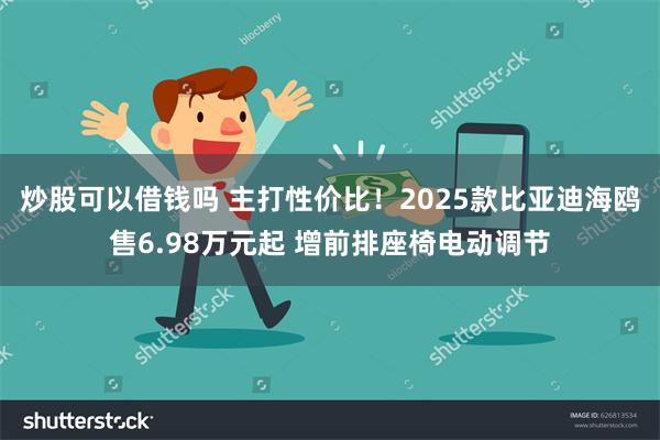 炒股可以借钱吗 主打性价比！2025款比亚迪海鸥售6.98万元起 增前排座椅电动调节