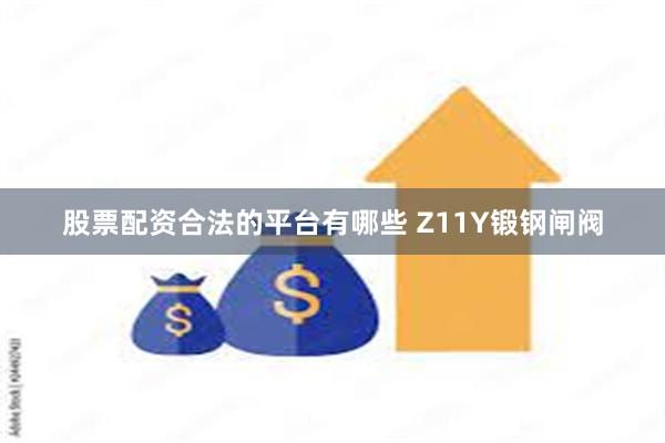 股票配资合法的平台有哪些 Z11Y锻钢闸阀