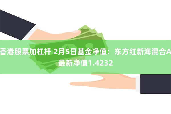 香港股票加杠杆 2月5日基金净值：东方红新海混合A最新净值1.4232