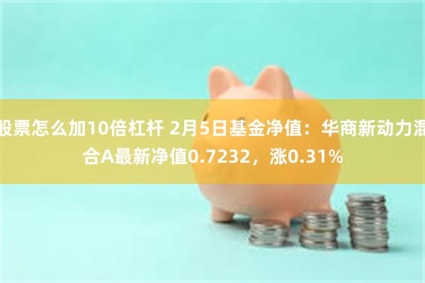 股票怎么加10倍杠杆 2月5日基金净值：华商新动力混合A最新净值0.7232，涨0.31%