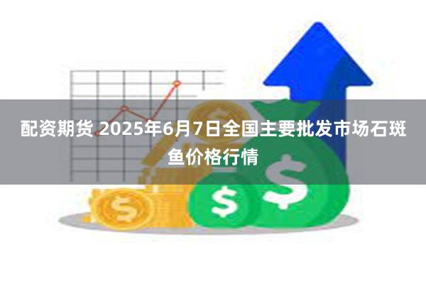 配资期货 2025年6月7日全国主要批发市场石斑鱼价格行情